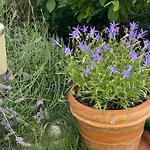 Gästezimmer mit Garten / 20 Minuten bis Messe Nürnberg