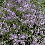Gästezimmer mit Garten / 20 Minuten bis Messe Nürnberg
