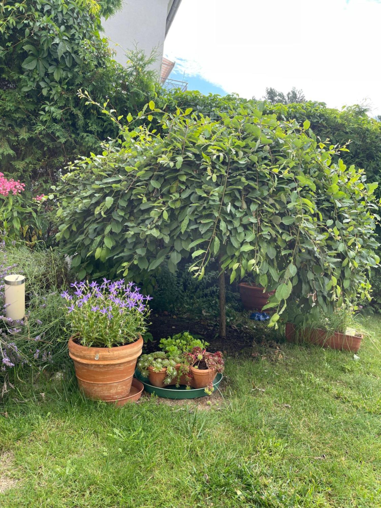 Privatunterkunft Gästezimmer Mit Garten / 20 Minuten Bis Messe Nürnberg