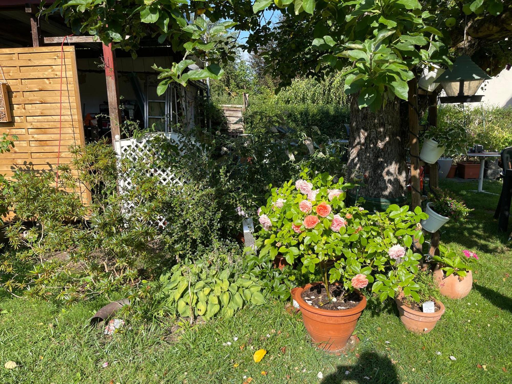 Privatunterkunft Gästezimmer Mit Garten / 20 Minuten Bis Messe