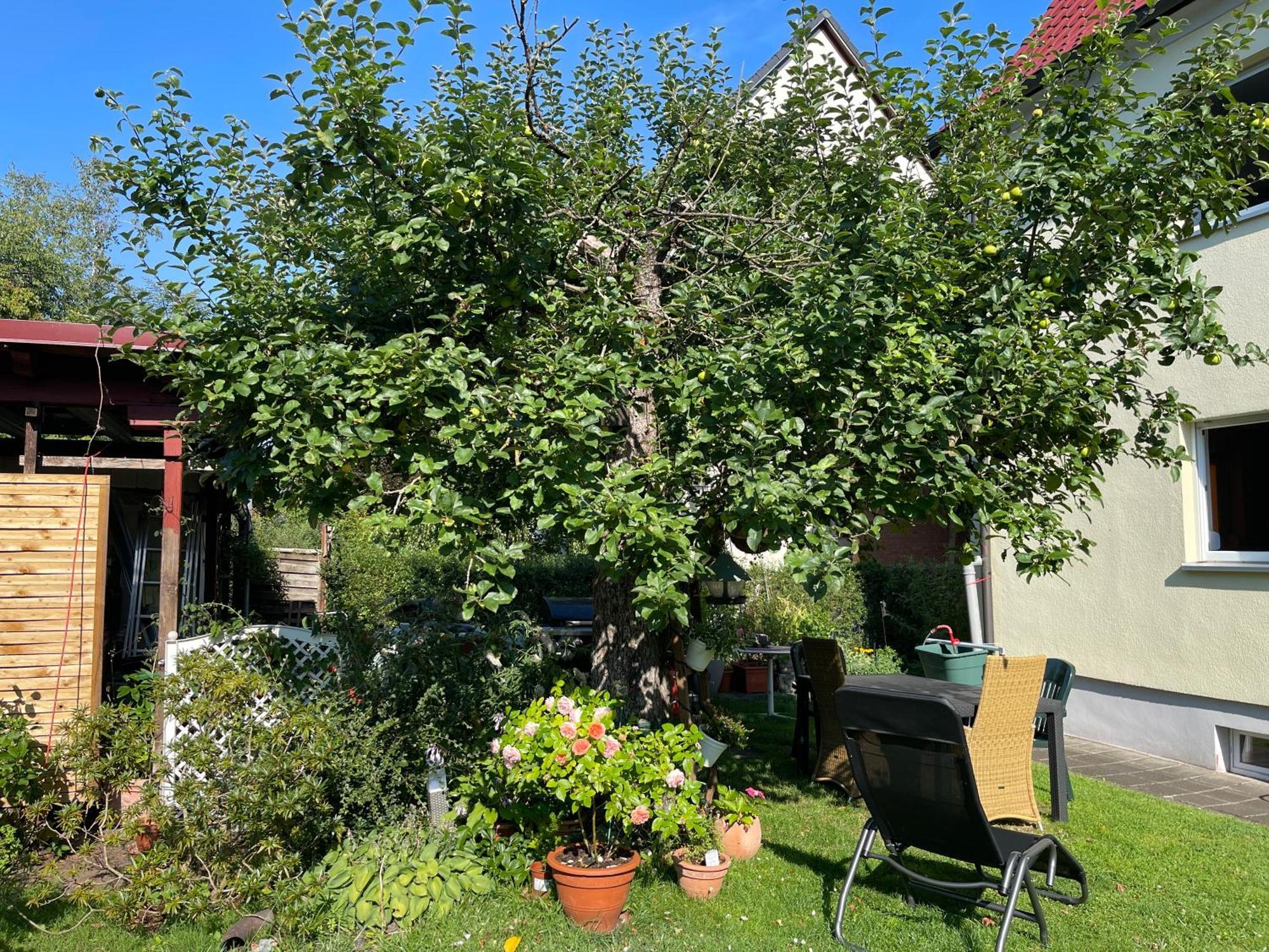 Gästezimmer Mit Garten / 20 Minuten Bis Messe Privatunterkunft *
